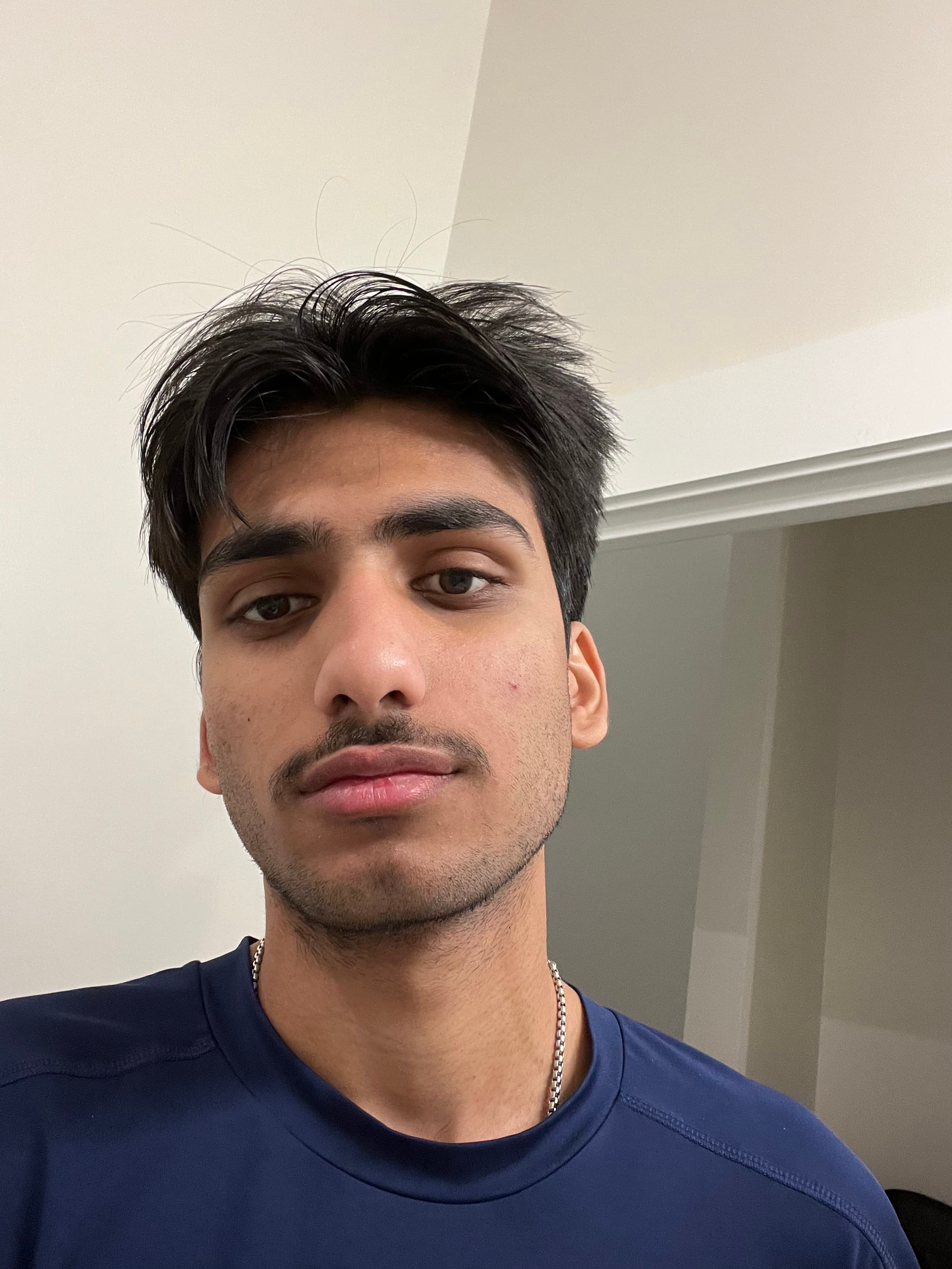 Headshot of Aryan Rajpal